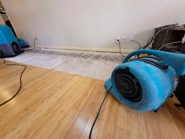 Professional Sewage Cleanup technician working in Douglas, MA